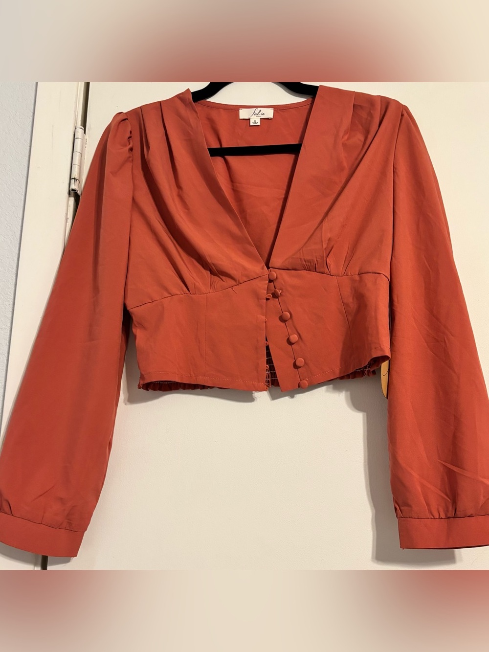 Cropped V-Neck Button-Front Blouse in Rust